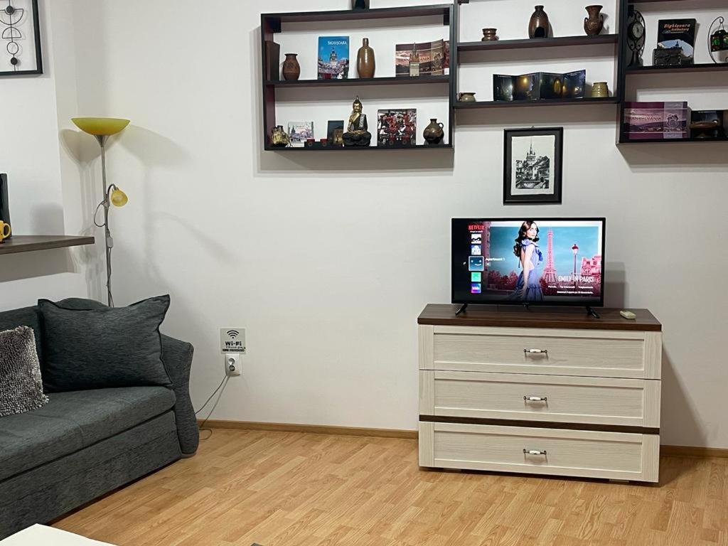 Panorama Studio Sighisoara Bagian luar foto